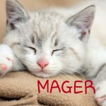 Jangan Mudah Mencap Seorang Ibu Pemalas Hanya Karna Hal-Hal Berikut (Part 1)