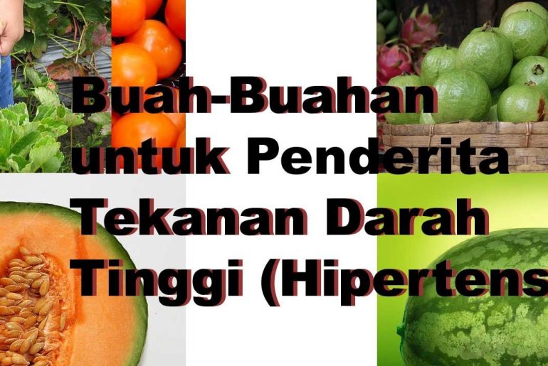 Makanan Penurun Darah Tinggi