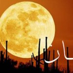 Amalan-Amalan Ini Wajib Kamu Lakukan di Bulan Sya'ban