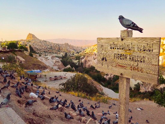 Kunjungi 5 Tempat Seru Ini Saat Menjelajah Cappadocia