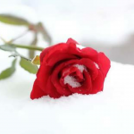 7 Sifat yang Harus Dimiliki Agar Allah Menyukai Kita