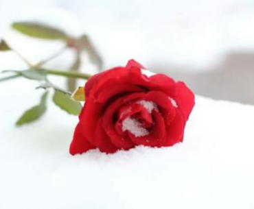 7 Sifat yang Harus Dimiliki Agar Allah Menyukai Kita