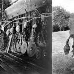 Sejarah Pemburu Kepala Borneo