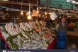 Pasar Ikan Terbaik Di Istanbul