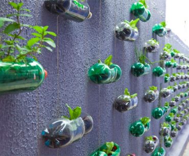 Manfaatkan Botol Bekas untuk 5 Hal Ini