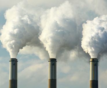 Pada umumnya penyakit asma terjadi dikarenakan faktor polusi udara. Kota-kota besar dapat memicu penduduknya untuk terkena penyakit asma 50% lebih besar dibandingkan penduduk yang tinggal di pedesaan atau kampung-kampung. Karena debu dari pembuangan gas emisi karbon dapat membuat orang yang menghirupnya menjadi sesak dan sangat sulit bernafas. Selain itu asap rokok juga dapat memicu timbulnya penyakit asma.