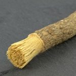 Siwak, Alat Tradisional dengan Beragam Kelebihan