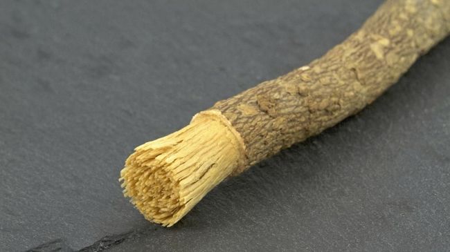 Siwak, Alat Tradisional dengan Beragam Kelebihan