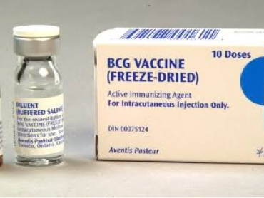 Cara Penyimpanan Vaksin BCG