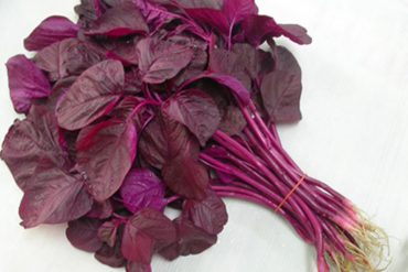 Inilah Manfaat Bayam Merah Bagi Kesehatan