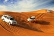 Serunya Safari Gurun di Abu Dhabi