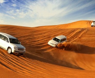 Serunya Safari Gurun di Abu Dhabi