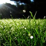 Pentingnya Keikhlasan dalam Berbuat