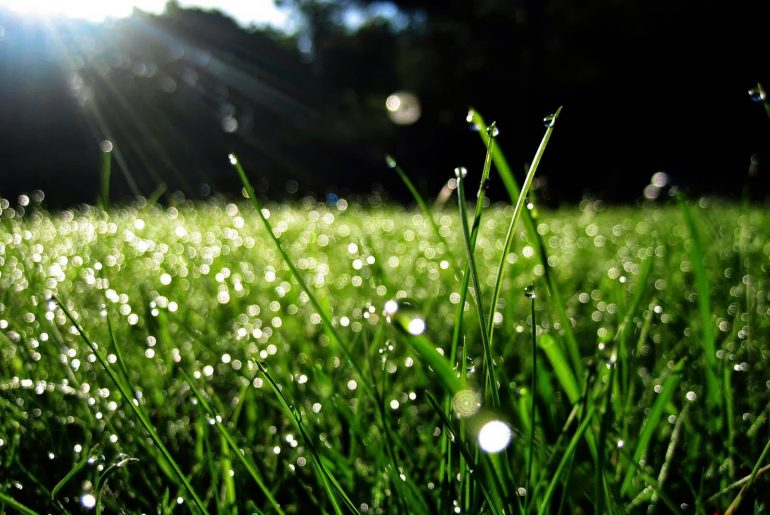 Pentingnya Keikhlasan dalam Berbuat