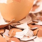 Jangan DIbuang. Cangkang Telur Bisa Dimanfaatkan untuk 4 Hal Ini.