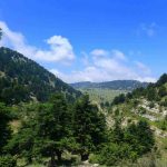 Kota Terindah untuk Dikunjungi di Libanon