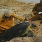 Tempat Menemukan Satwa Liar Oman
