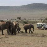 9 Alasan Mengapa Anda Harus Mengunjungi Kenya