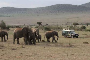 9 Alasan Mengapa Anda Harus Mengunjungi Kenya