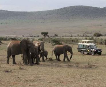 9 Alasan Mengapa Anda Harus Mengunjungi Kenya 9 Alasan Mengapa Anda Harus Mengunjungi Kenya