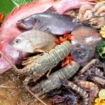Masak Seafood Sendiri? Cek Cara Memilih 5 Makanan Laut Segar Kesukaanmu