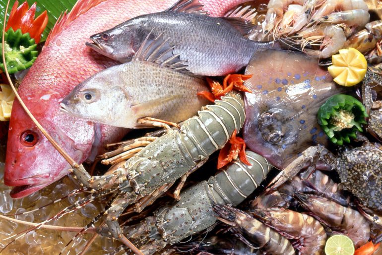 Masak Seafood Sendiri? Cek Cara Memilih 5 Makanan Laut Segar Kesukaanmu