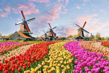 Mengenal Taman Keukenhof, Surganya Bunga Tulip