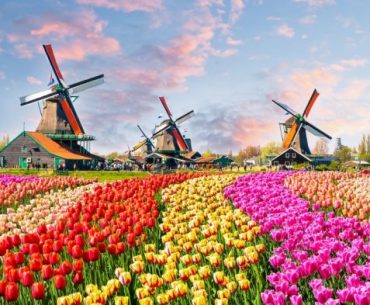 Mengenal Taman Keukenhof, Surganya Bunga Tulip