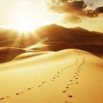 Ini Cara Rasulullah Bersikap Adil kepada Kaum Kafir