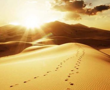 Ini Cara Rasulullah Bersikap Adil kepada Kaum Kafir