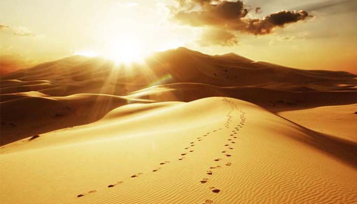 Ini Cara Rasulullah Bersikap Adil kepada Kaum Kafir