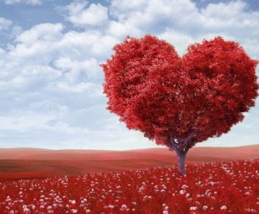 Kaya yang Hakiki Adalah Kaya Hati Kaya yang Hakiki Adalah Kaya Hati