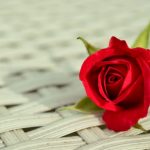 Ingin Selalu Puas & Bangga Dengan Istri? Lakukan Tips Ini