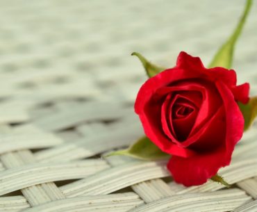 Ingin Selalu Puas & Bangga Dengan Istri? Lakukan Tips Ini Ingin Selalu Puas & Bangga Dengan Istri? Lakukan Tips Ini