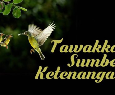 Dibanding Berkarir, Para Istri Lebih Dianjurkan Bertawakkal Dibanding Berkarir, Para Istri Lebih Dianjurkan Bertawakkal