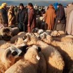 Panduan Penting Mengunjungi Marrakech Selama Idul Adha