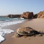 Kapan Waktu Terbaik Untuk Mengunjungi Oman