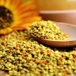 3 Produk yang Dihasilkan Lebah Ini Dipercaya Menyehatkan. Mana yang Kamu Pilih?