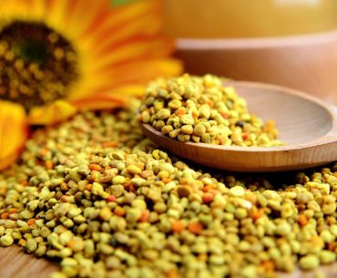 3 Produk yang Dihasilkan Lebah Ini Dipercaya Menyehatkan. Mana yang Kamu Pilih?