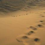 Ini yang Dilakukan Rasulullah Saat Bulan Ramadhan Tiba