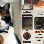 Lucunya Tama, Kucing Pertama yang Menjadi Kepala Stasiun di Jepang