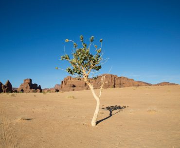 Kisah Teladan Rasulullah yang Adil Terhadap Seorang Yahudi