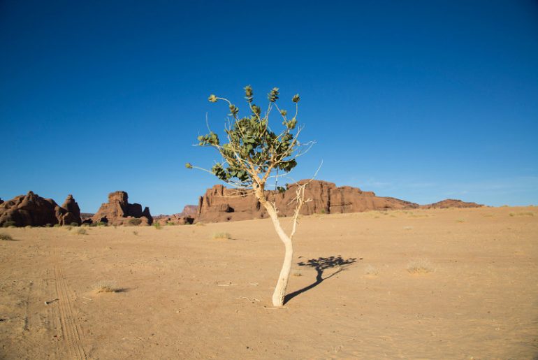 Kisah Teladan Rasulullah yang Adil Terhadap Seorang Yahudi