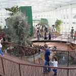 Quranic Park, Cara Baru Belajar Al Qur'an dengan Asyik