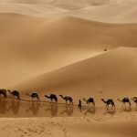 Ini 5 Alasan Mengapa Dakwah Rasulullah Ditentang Kala Itu