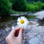 Inilah 3 Manfaat Sikap Diam