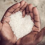 Pentingnya Zakat Bagi Ibadah di Bulan Ramadhan