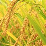 6 Teladan Sikap Tawadhu dari Rasulullah