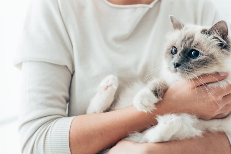 Hak-Hak Hewan dalam Islam