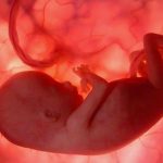 Ayat-Ayat Tentang Tujuan & Hikmah Penciptaan Manusia